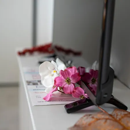 - La Rosa Dei Venti